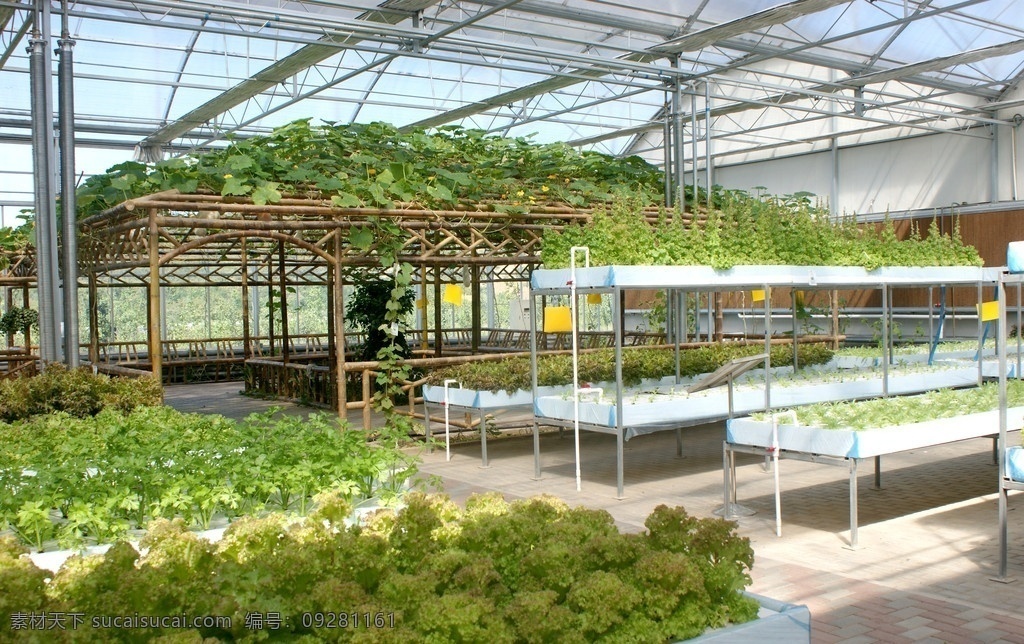 生态大棚 生态园区 生态餐厅 生态园 生态 绿色 餐桌 植物 蔬菜 餐厅 旅游 风光 风景 人文景观 旅游摄影 田园风光 自然景观