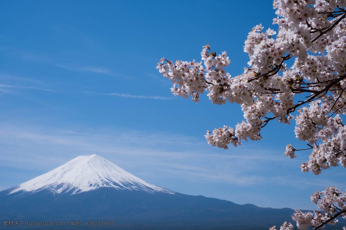 富士山图片 富士山 日本 日本富士山 富士山全貌 日本风情 樱花 雪山 山 山峰 山峦 山脉 湖面 湖 旅游摄影 国外旅游