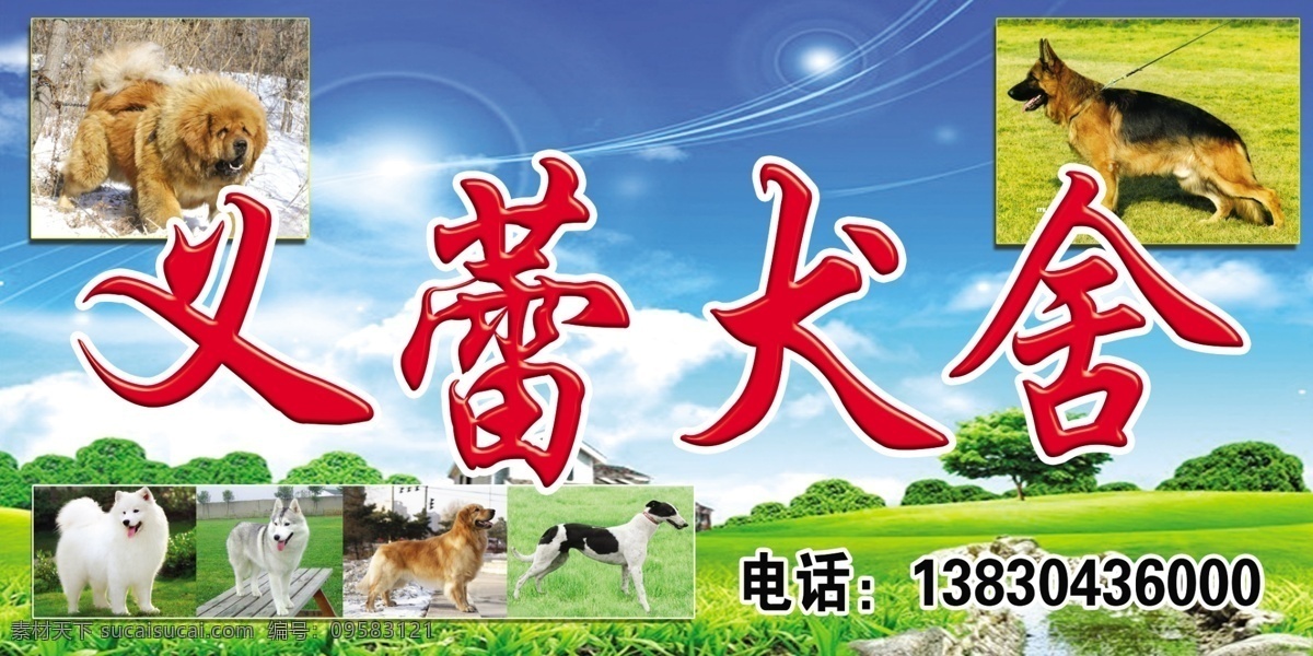 艺蕾犬舍 蓝天白云 草地 藏獒 各类狗狗 门牌 门头招牌 室外广告设计