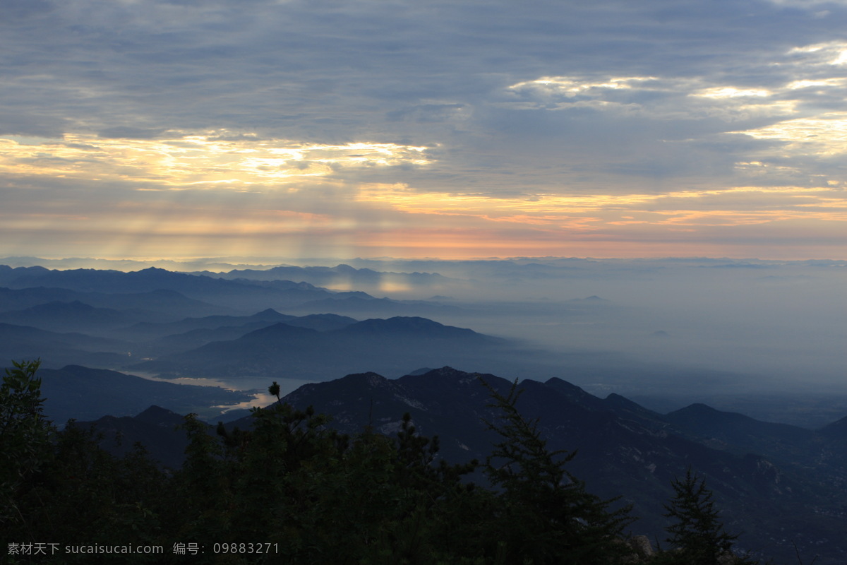 泰山风景 日出 霞光 山脉 云海 清晨 蓝天 眺望 城市 自然风景 自然景观 金鱼满塘 鱼类 生物世界