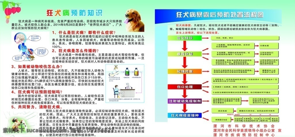 狂犬病 防治知识 狂犬病知识 世界狂犬病日 狂犬病危害 矢量 展板模板