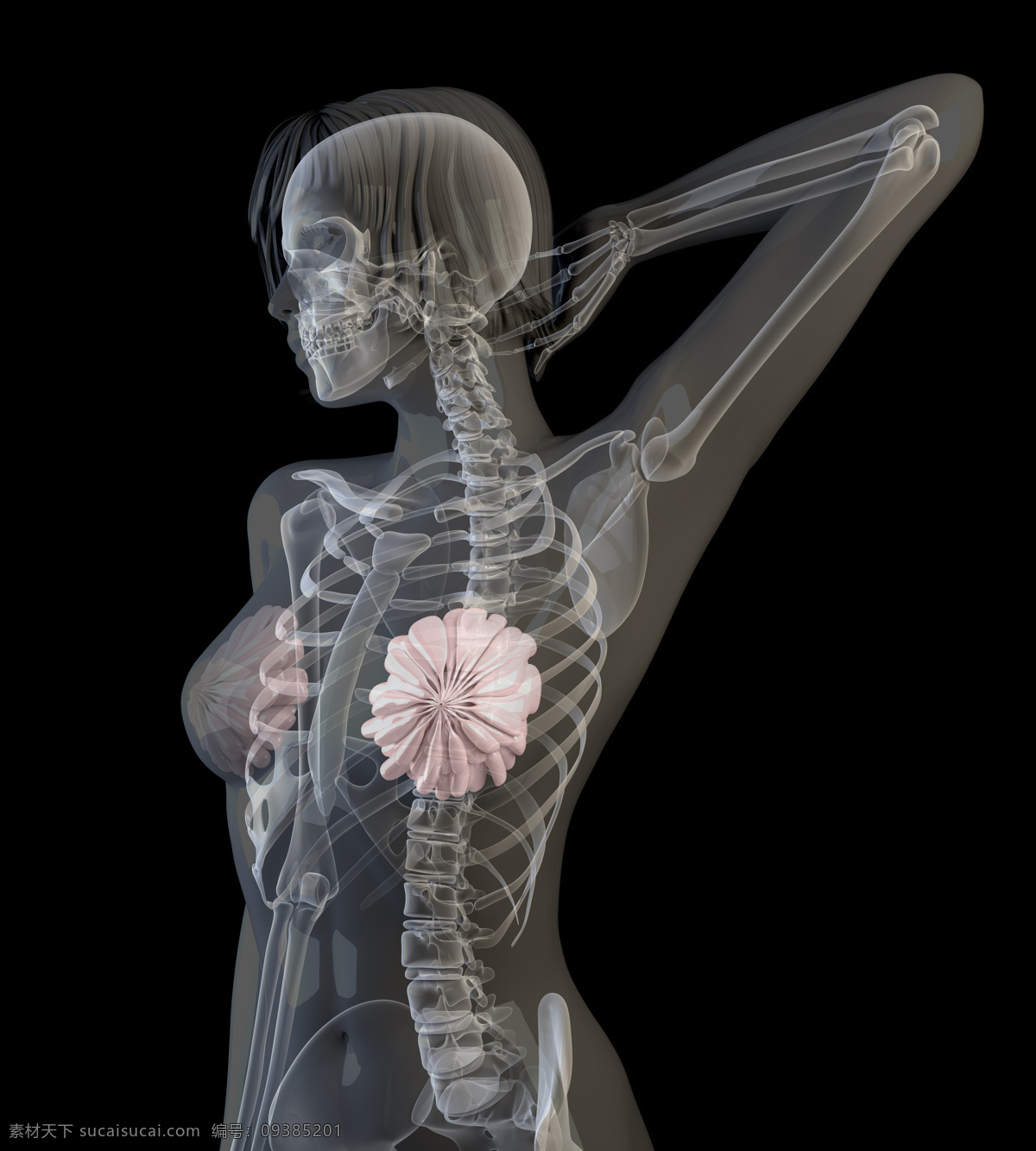 女性 x 光 透视图 医疗主题 人体 x光 图像 医疗护理 现代科技