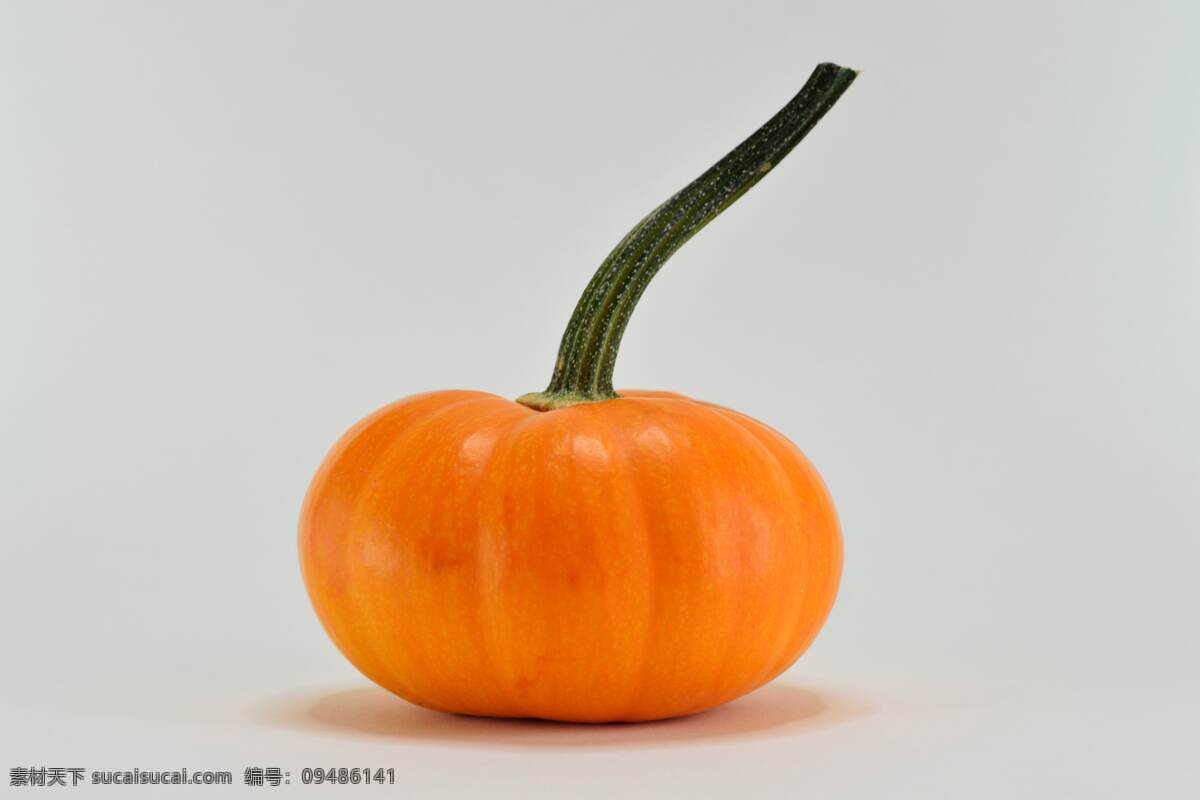 南瓜 蔬菜 有机蔬菜 绿色蔬菜 农产品 菜篮子 生物世界