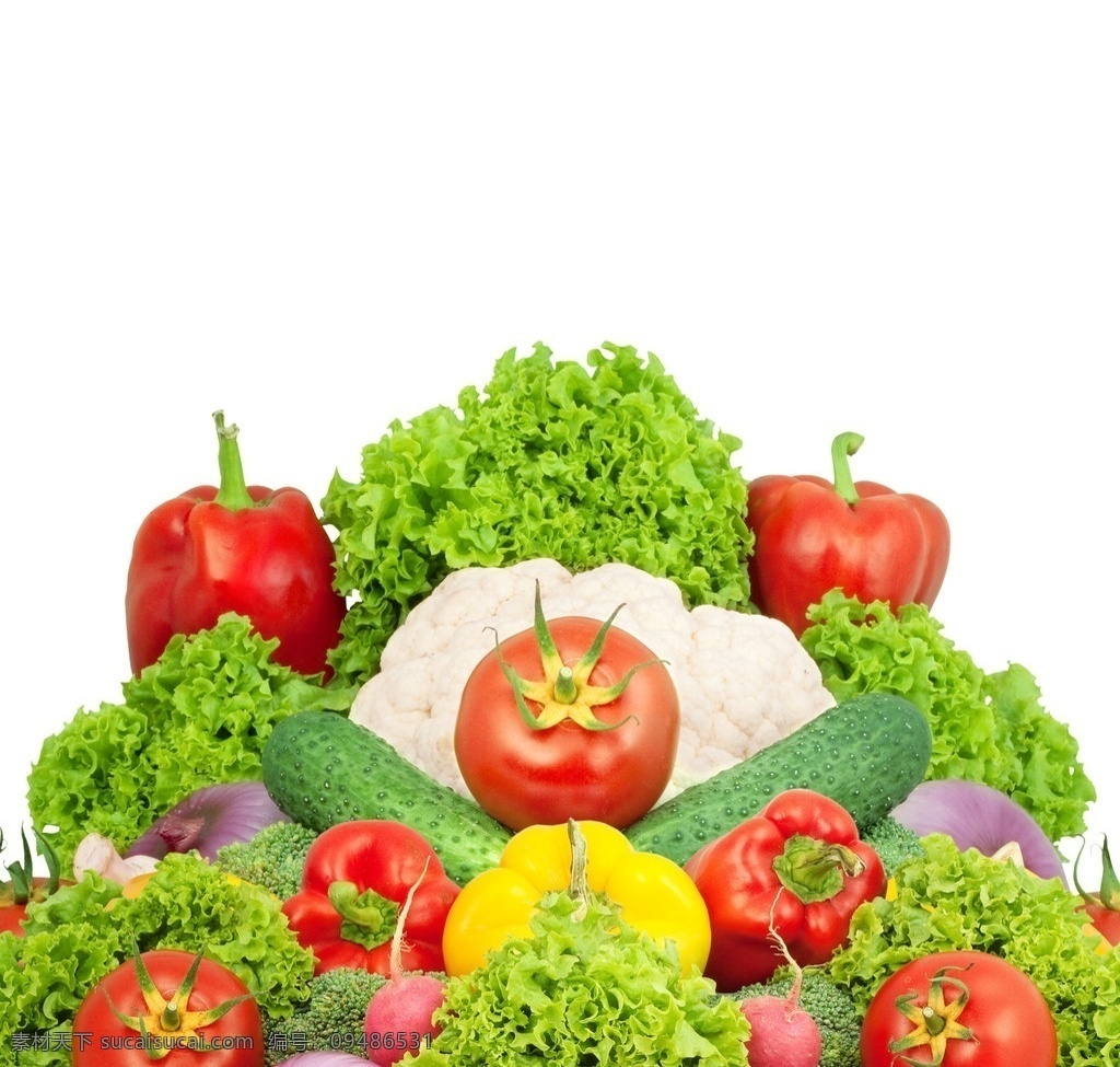 健康蔬菜 蔬菜 美味蔬菜 绿色蔬菜 营养蔬菜 植物 西红柿 生菜 黄瓜 葱头 蔬菜主题 生物世界