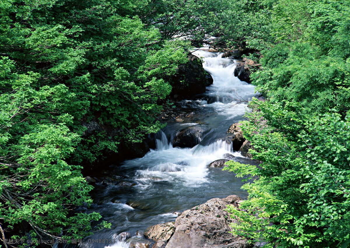 树免费下载 风景 绿色 山水风景 摄影图 树 植物 自然景观 水 家居装饰素材 山水风景画