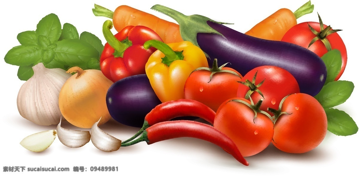矢量 蔬菜 插画 背景 彩色 胡萝卜 辣椒 茄子 曲线 西红柿 线条 洋葱 蒜 叶子 矢量图 其他矢量图