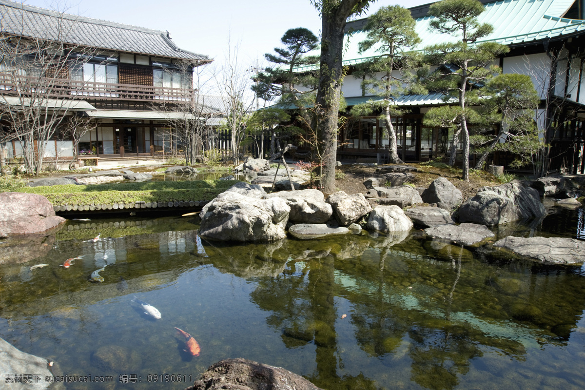美丽 日本 花园 风景 日本花园风景 水池 锦鲤 日本风光 美丽风景 景色 公园风景 花园美景 自然风景 自然景观 黑色