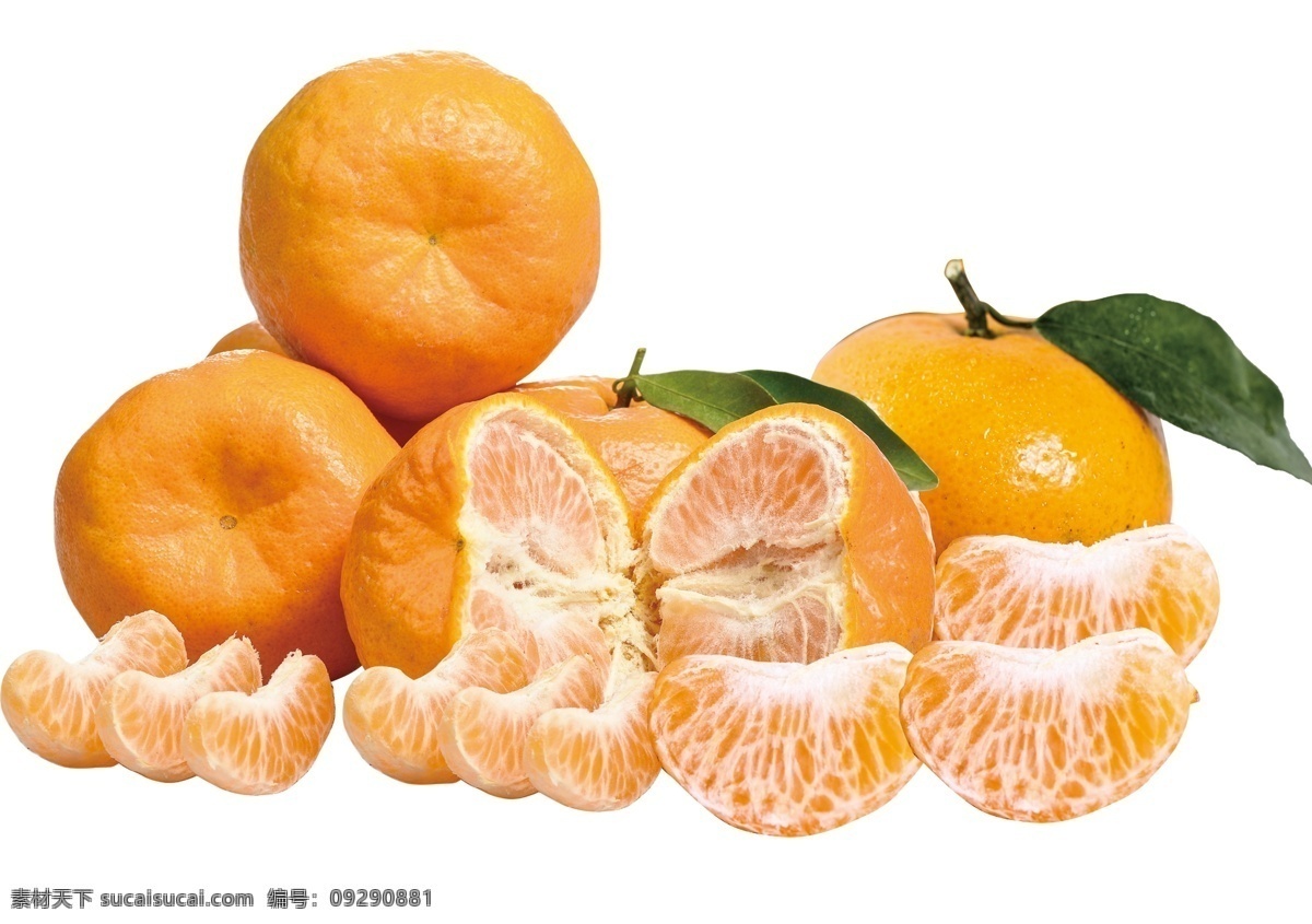 橘子图片 广告 文化 水果 橘子