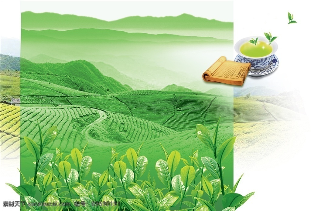 茶园 茶叶 实物 风景 茶花叶 分层