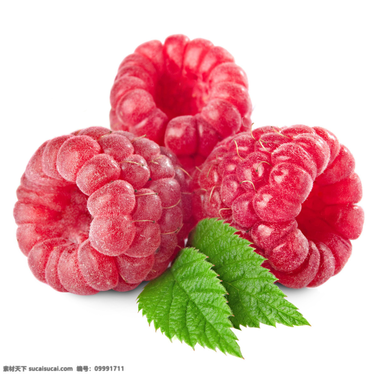 高清水果摄影 树莓 食物 新鲜水果 水果 水果摄影 水果素材 水果广告 广告素材 水果蔬菜 餐饮美食 白色