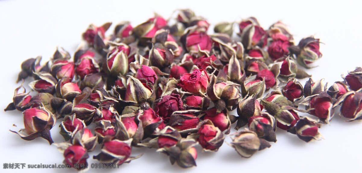 玫瑰花茶 玫瑰花朵茶 花朵茶 花茶 花茶素材 金边玫瑰花茶 金边玫瑰茶 金边玫瑰 玫瑰茶艺 茶叶 茶文化 茶道 花茶摄影 餐饮美食 食物原料
