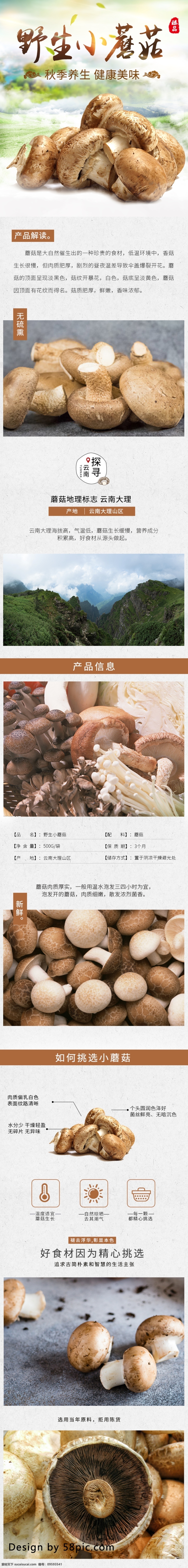 电商 中国 风 秋季 养生 蘑菇 详情 页 模板 中国风 美食 详情页 淘宝 秋季养生 食品茶饮 菌类