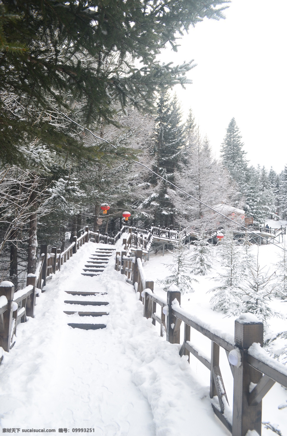 雪乡 雪景 森林小道 积雪 冬天 栈道 旅游摄影 国内旅游