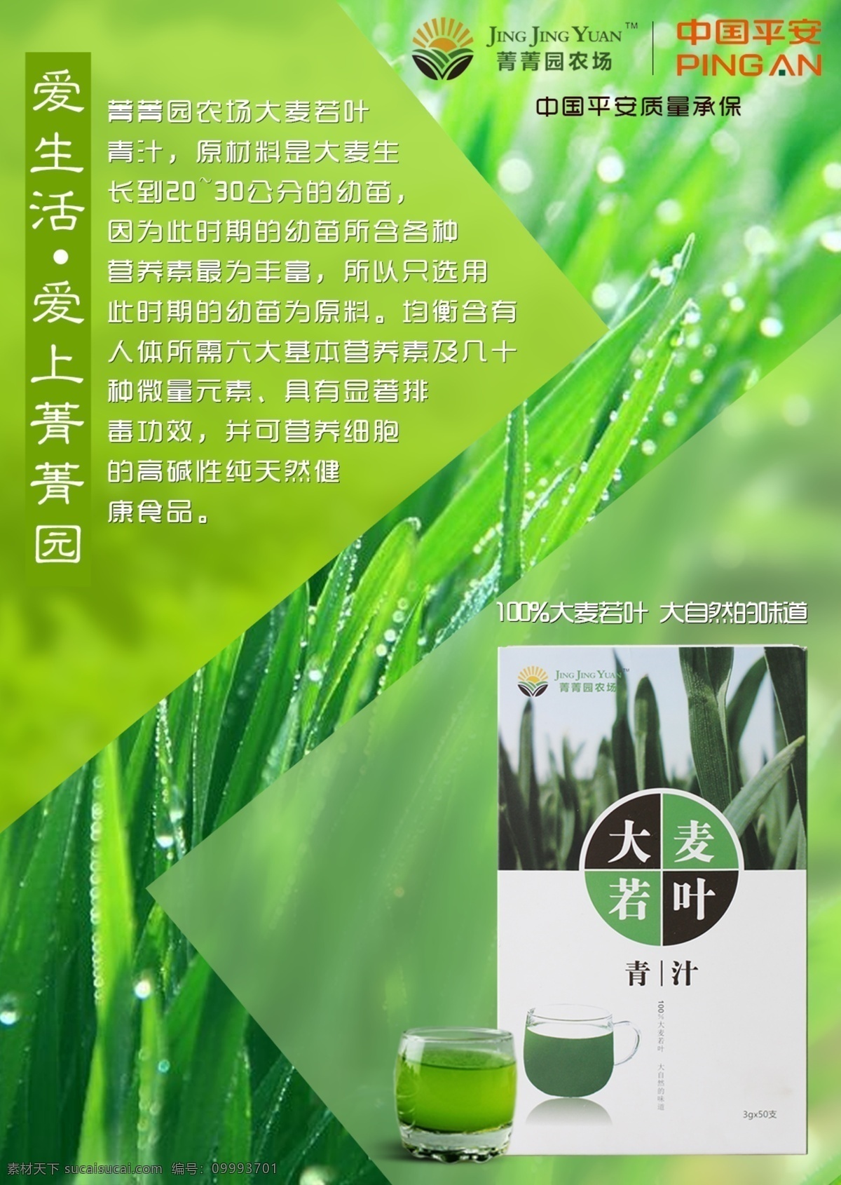 菁菁 园 大麦 叶青 汁 青汁 微商 健康 绿色 天然 养生佳品 功效 安全 生活