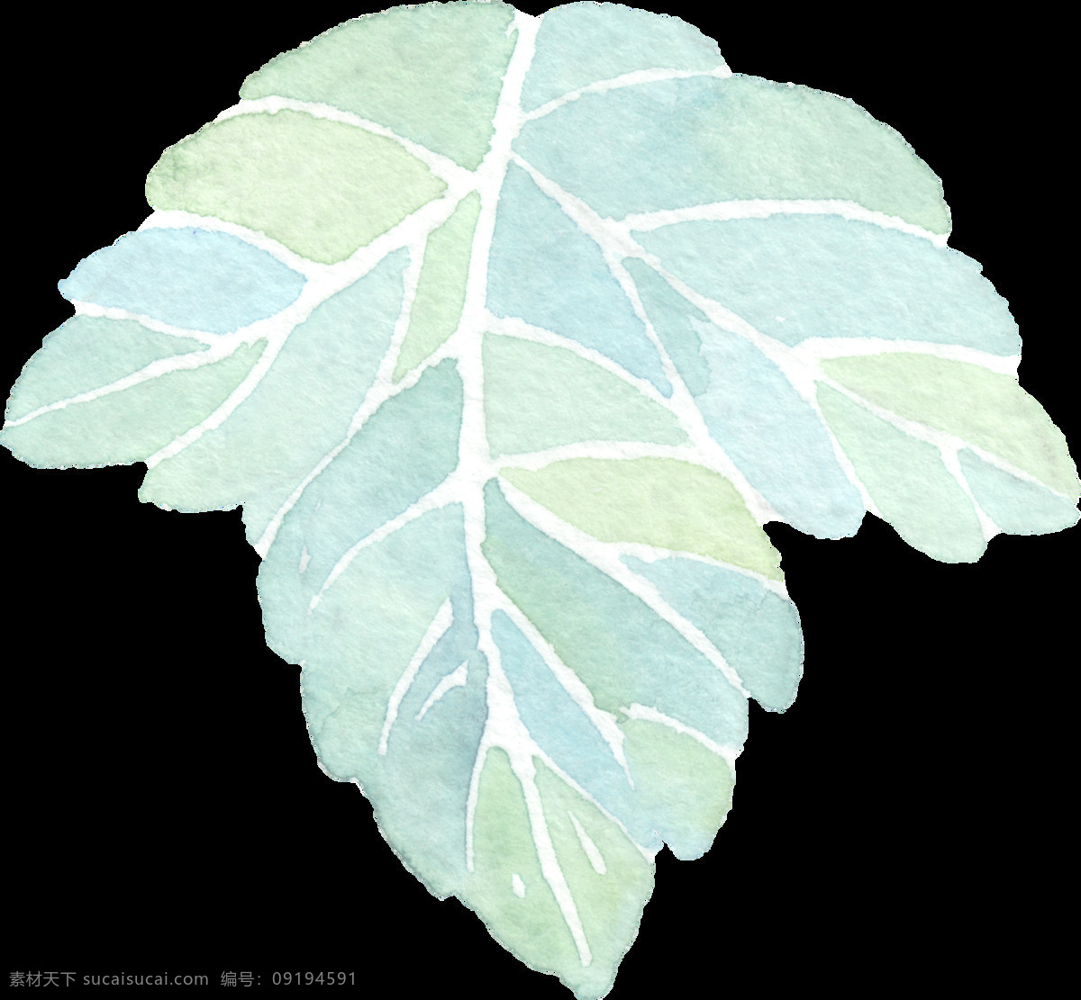 手绘 片 树叶 透明 绿色 免扣素材 水彩 透明素材 纹理 叶子 装饰图片