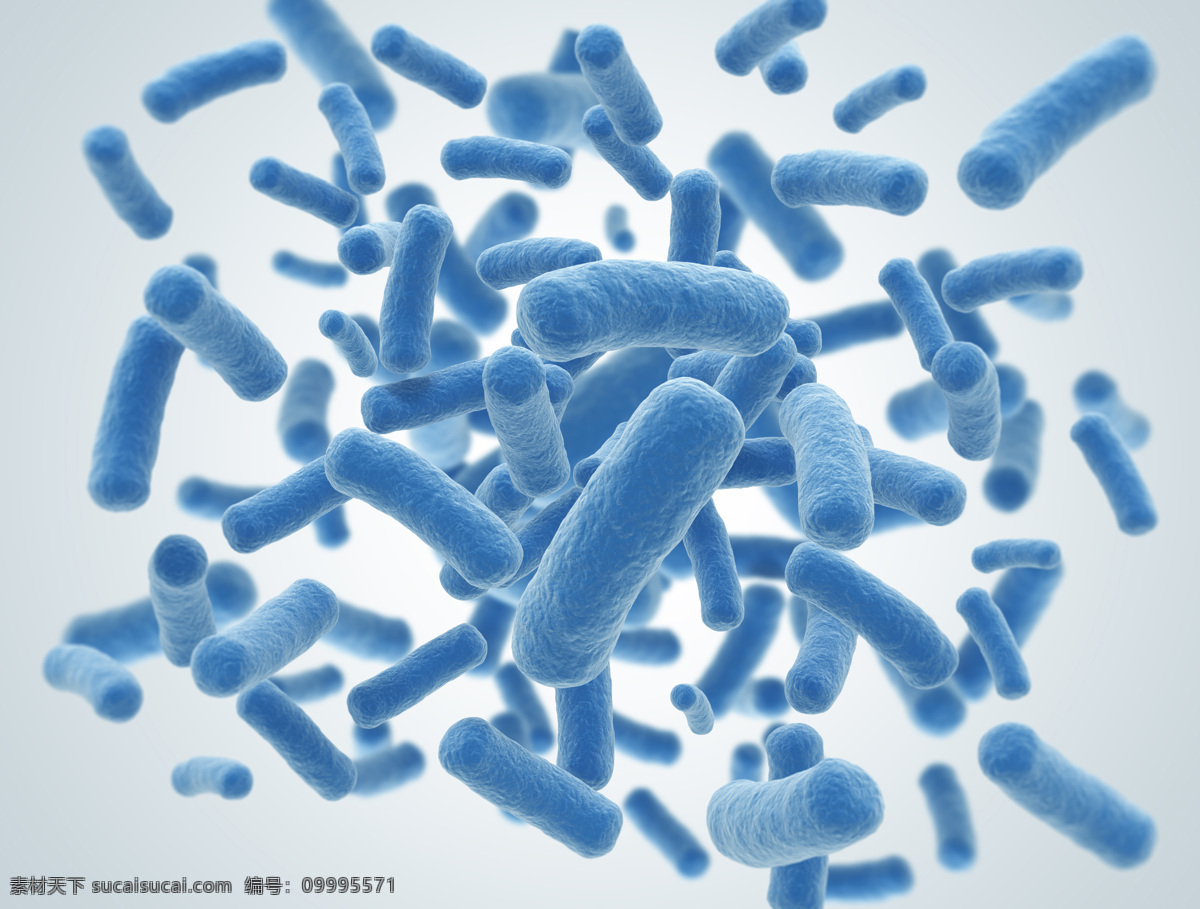 病毒 细菌 细胞 微生物 显微镜 生物学 科学研究 科学 生物 细微生物 传染病菌 传染病毒 医疗护理 现代科技