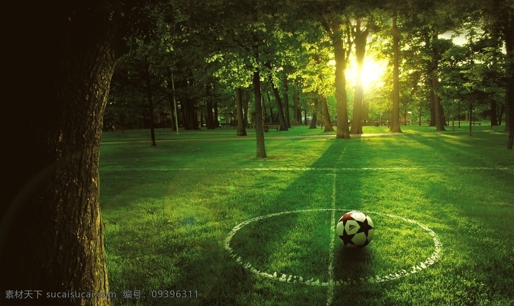 生态 地产 运动 足球场 草地 早晨 大气 自然风景 自然景观