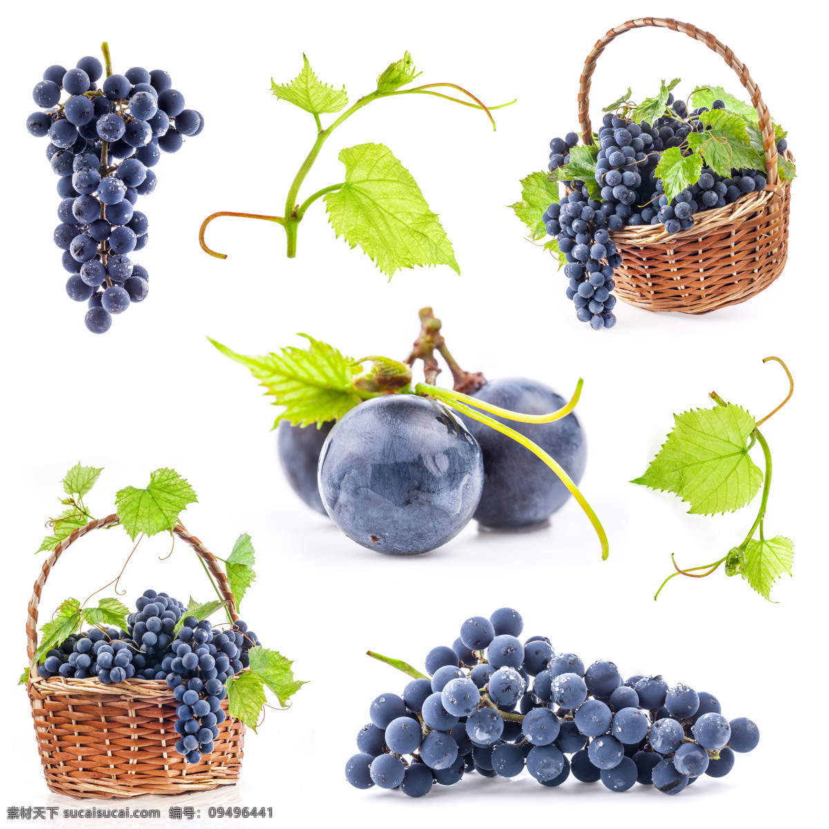 新鲜水果 葡萄素材 紫葡萄 新鲜葡萄 新疆葡萄