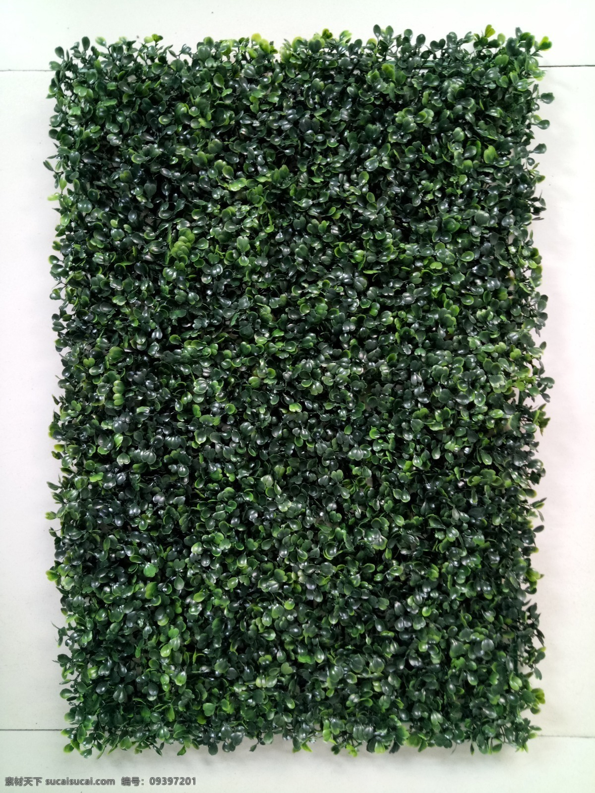 绿植墙 植被墙 绿叶墙 绿植墙素材 植物墙素材 植物墙背景 园林绿化 立体绿化 立体花坛