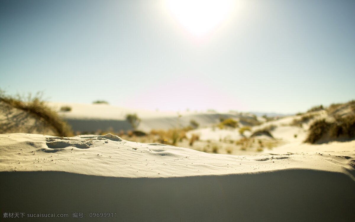 阳光 沙漠 生物 背景 简约 保护环境 广告背景 干涸 行不行 缺水