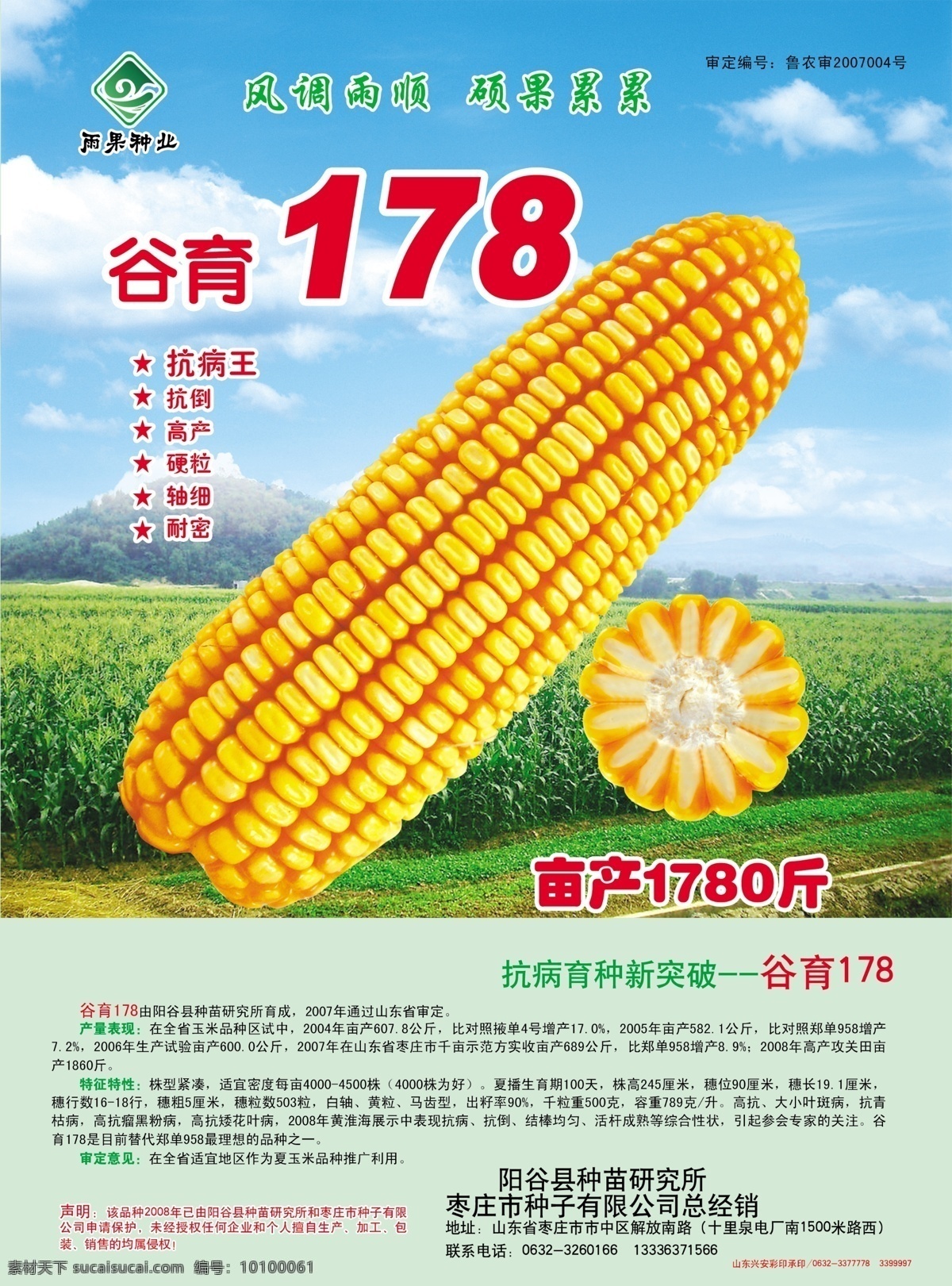 玉米种子单页 玉米种子 单页 雨果种植 种苗研究所 白 轴 黄 粒 马 齿 型 dm宣传单 广告设计模板 源文件