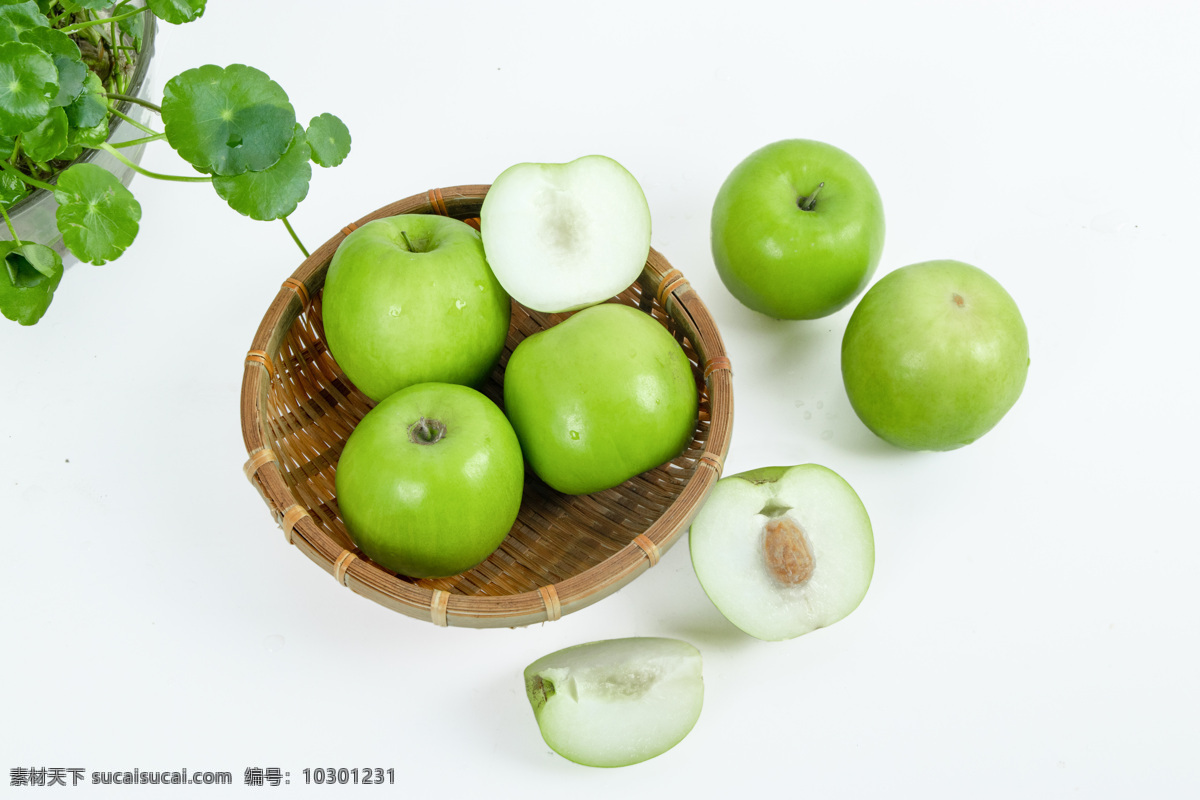 青枣图片 青枣 绿色食品 采摘 水果 枣 生物世界