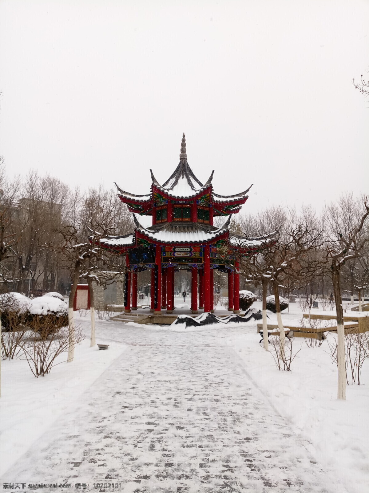 雪中亭阁 冬天 雪景 亭子 树木 自然 白色 湖边 自然景观 风景名胜