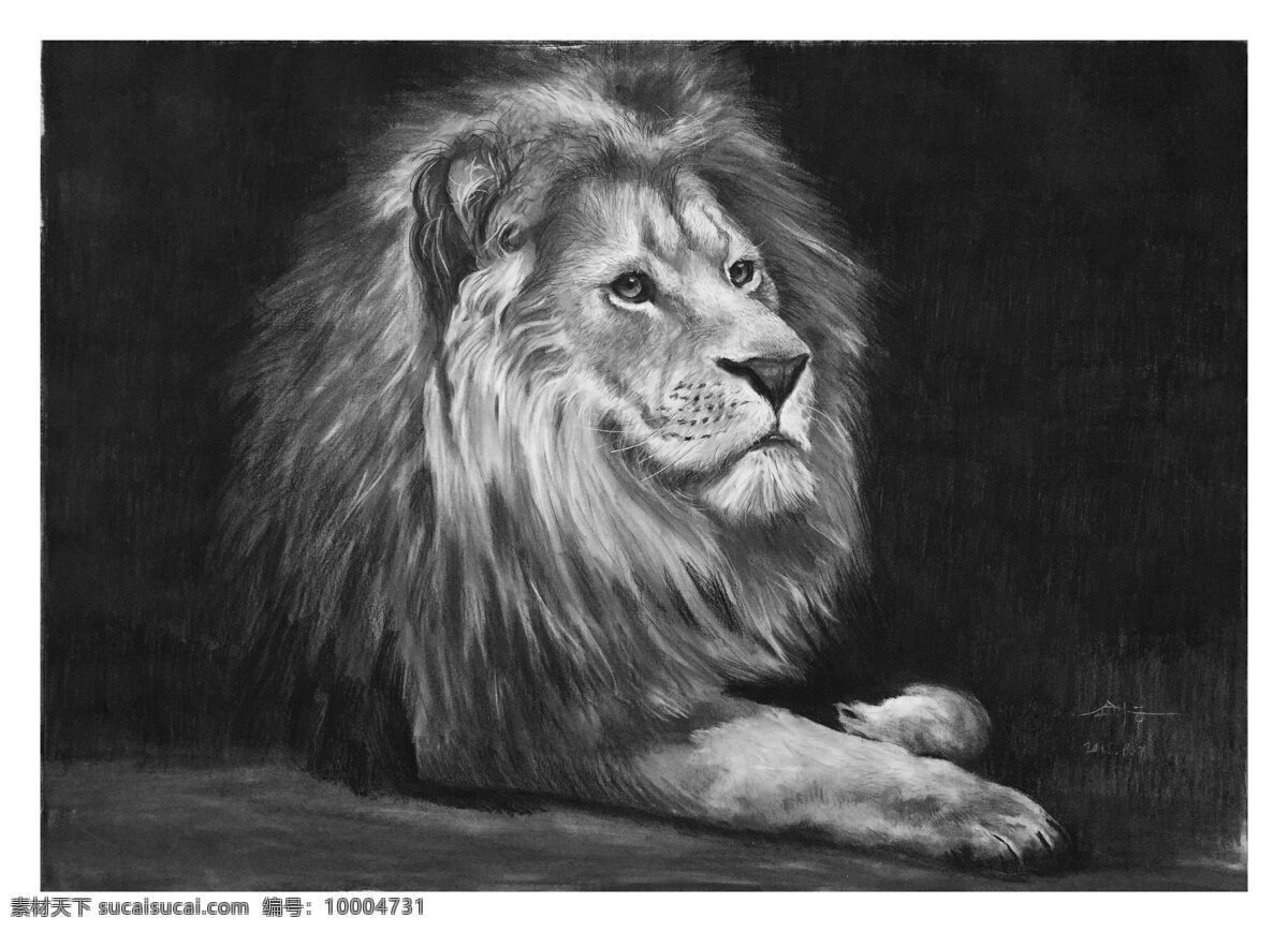 狮子素描 狮子 动物 素描 黑白 炭笔 文化艺术 绘画书法