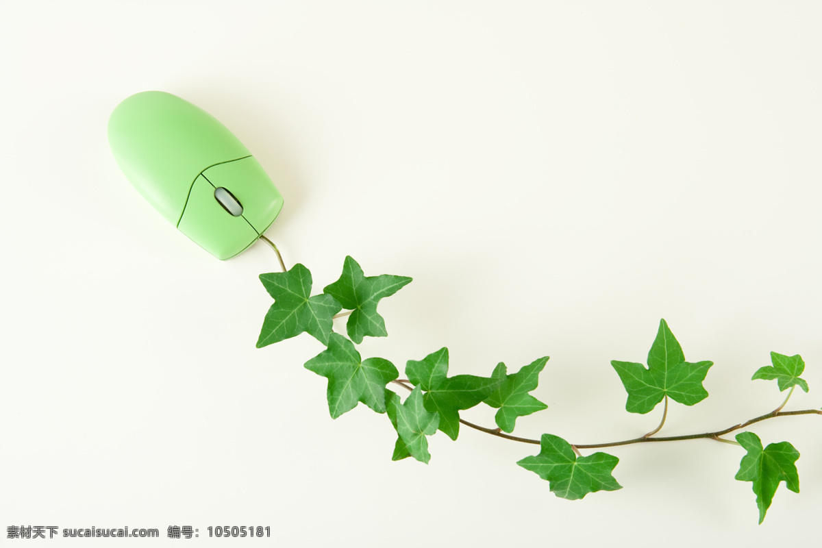 创意 绿色 鼠标 环保 环境保护 保护地球 绿色环保 蔓藤 花藤 植物 环保宣传 抽象 特写 高清图片 花草树木 生物世界