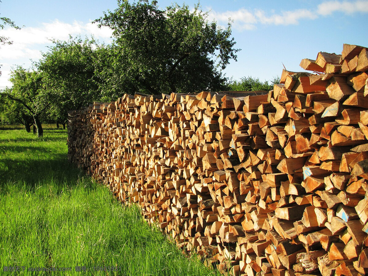 木头 木桩 柴 燃料 树木 木板 木块 旧木料 树干 树 木头素材 木屋