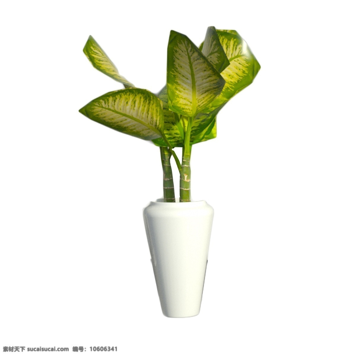 盆栽 室内 绿植 盆栽植物 室内绿植 家居植物 电商装饰 节日装饰 天猫 淘宝 卡通插图 创意卡通下载 插图 png图下载