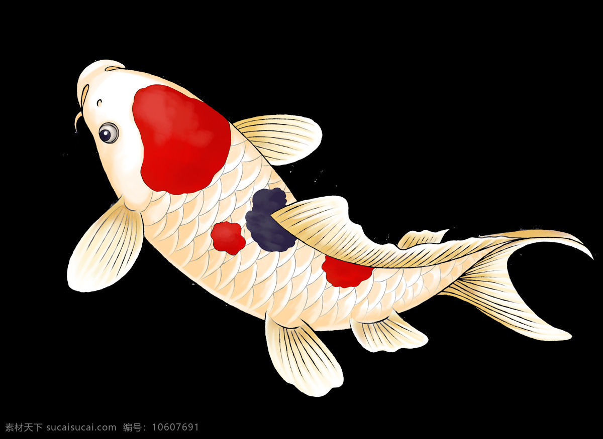 工笔画 鲤鱼 图案 中国风 古风 传统绘画 创意 装饰图案 精美 水彩绘画 富贵