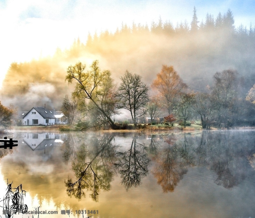 倒影 壁纸 自然 风景 树木 房屋 湖 植物 共享 图 风景如画 自然景观 自然风景