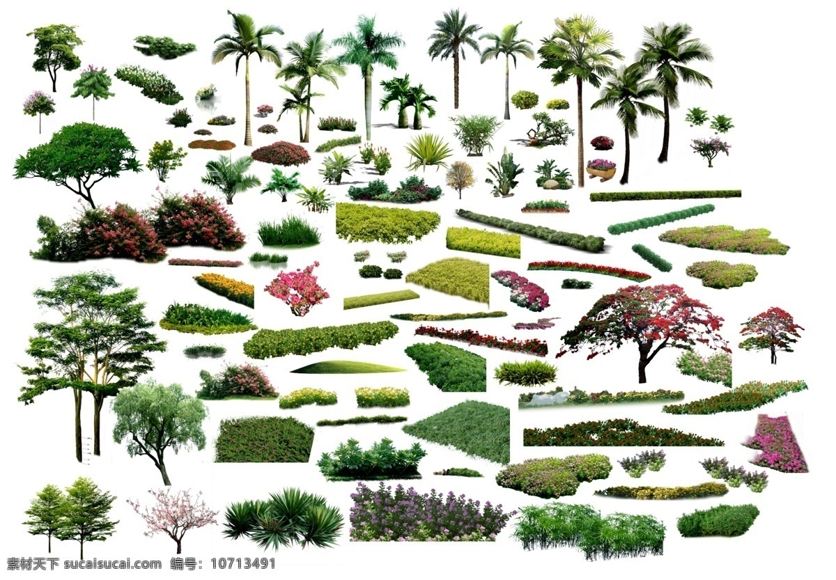 景观植物素材 景观 植物 环境艺术 环艺 室外 花卉 树 分层 源文件