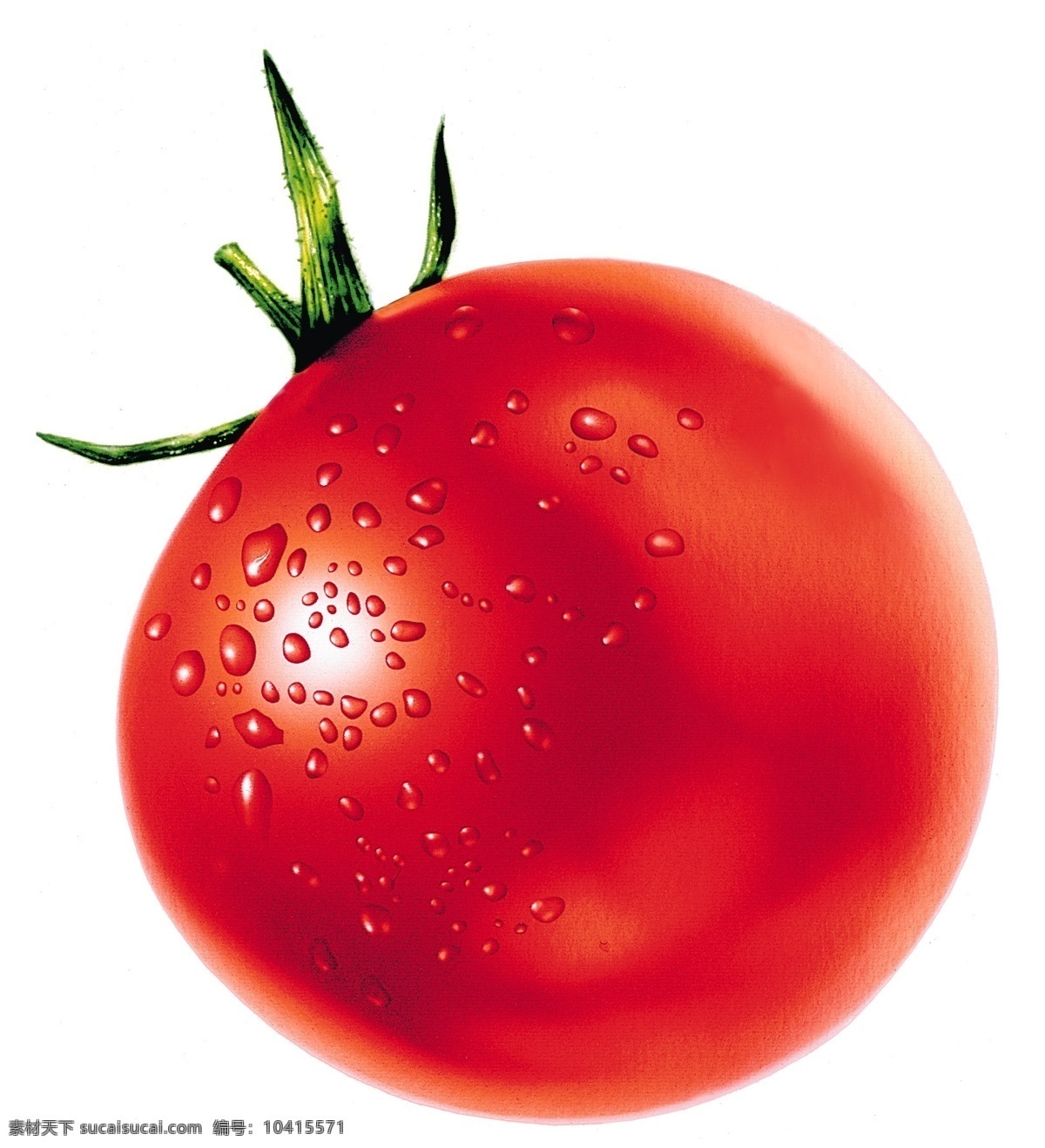 西红柿 特写 红西红柿 西红柿特写 成熟西红柿 插画集