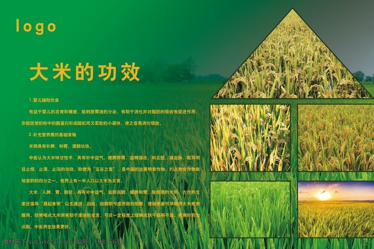 大米海报 大米 水稻 大米的功效 绿色背景 水稻图片