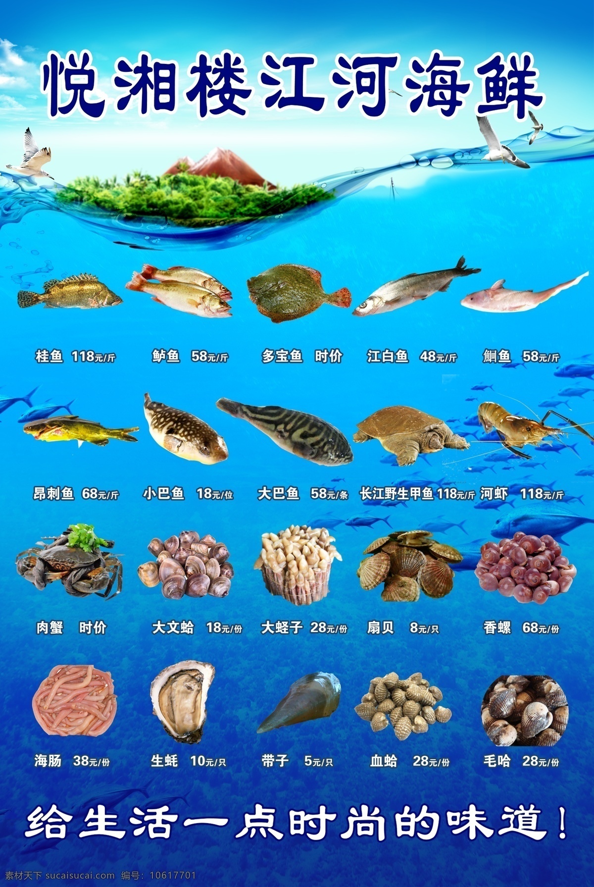 江河海鲜海报 桂鱼 鲈鱼 多宝鱼 江白鱼 白鱼 鮰鱼 昂刺鱼 小巴鱼 大巴鱼 巴鱼 甲鱼 河虾 肉蟹 文蛤 蛏子 扇贝 香螺 海肠 生蚝 带子 血蛤 毛哈 江河海鲜 海鲜 广告设计模板 源文件