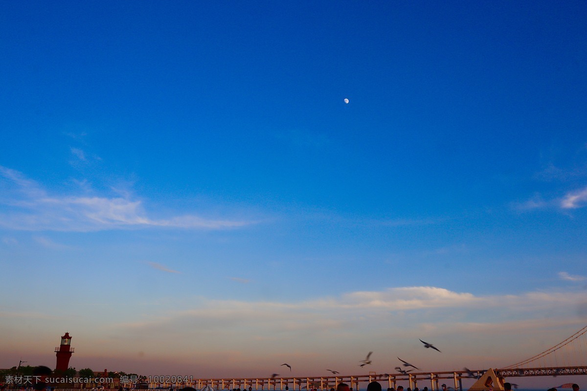 蓝天白云 天空 白云 蓝天 自然景观 自然风景 城市景观 夕阳 海鸥 大桥 海水 灯塔