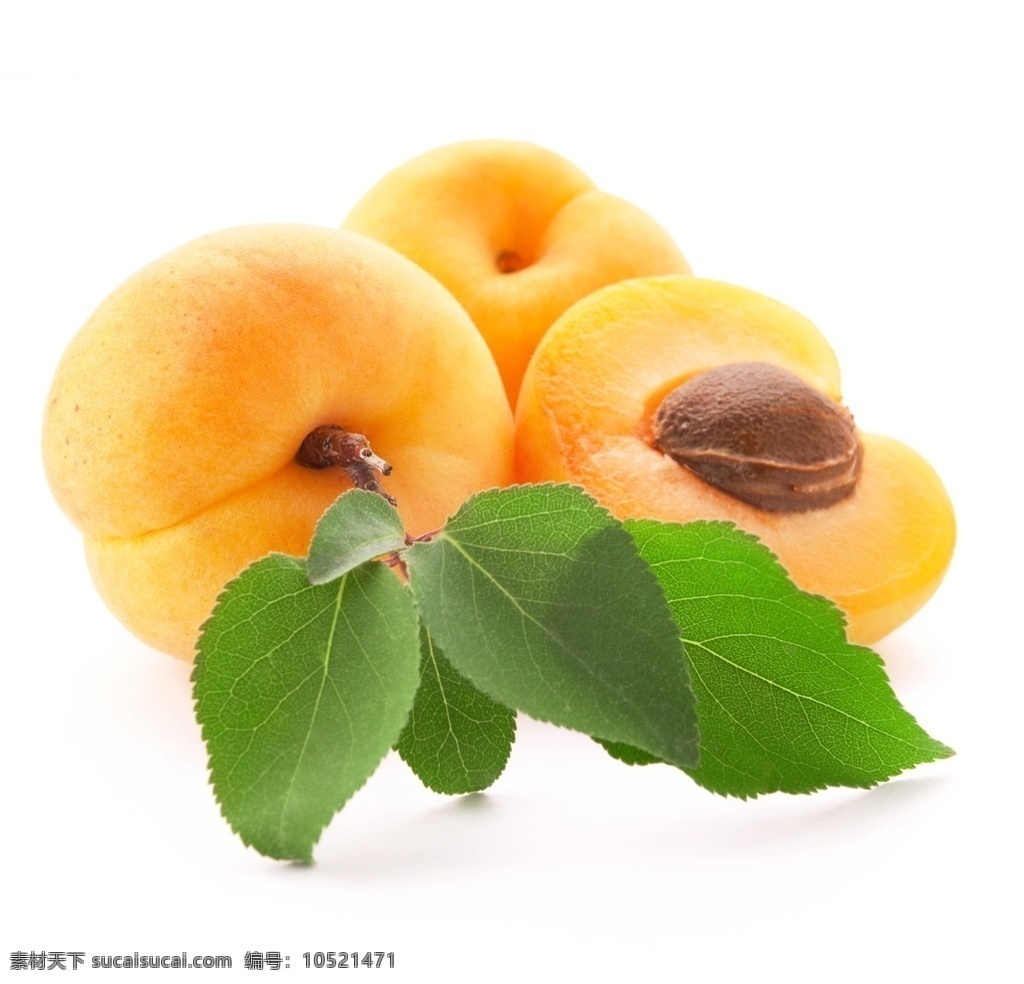 色新鲜大杏 新鲜 黄杏 水果 黄色 绿叶 叶子 果核 黄色水果 新鲜水果 多汁 脆甜 美食 一组水果图片 生物世界