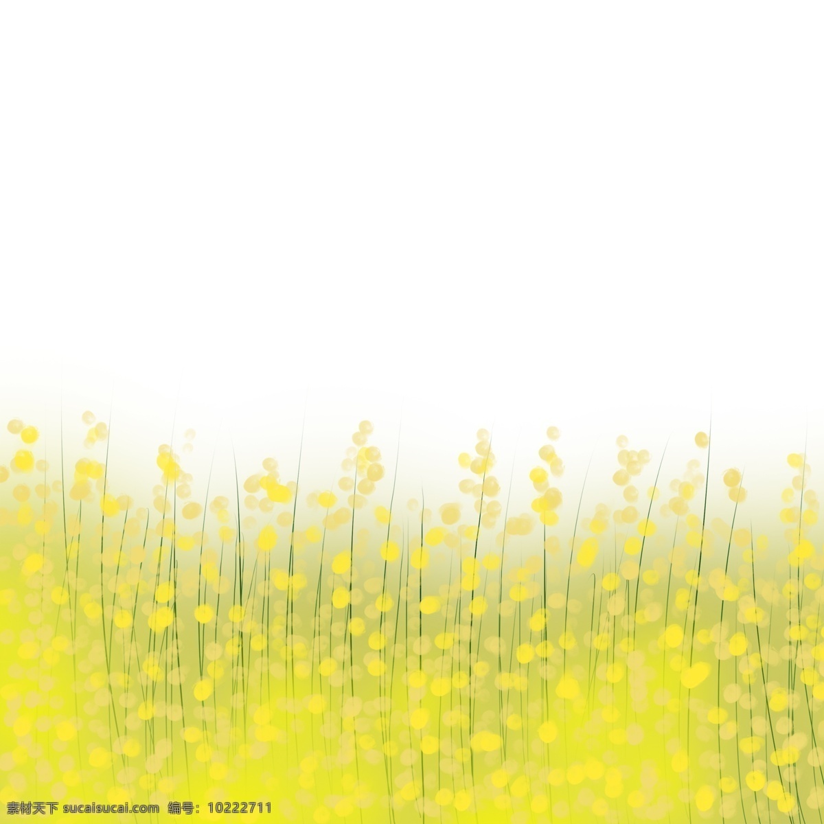 黄色 油菜花 草地 装饰 植物 手绘 绘画 卡通 简约 小清新 彩色
