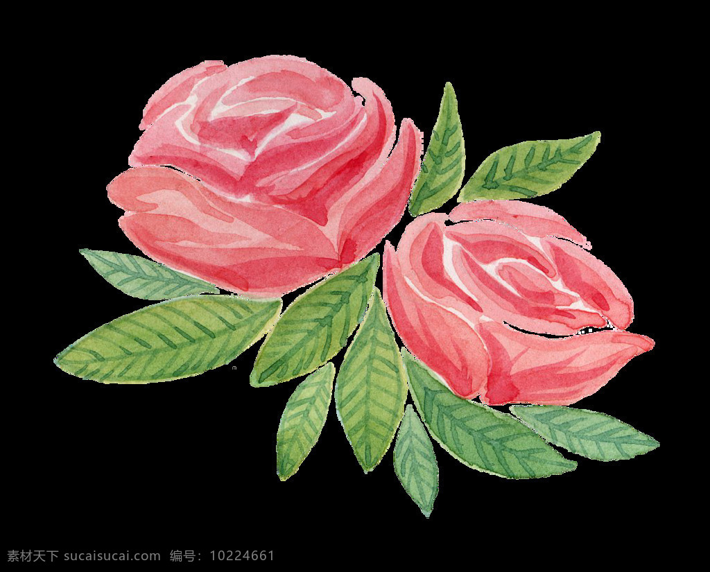 水彩玫瑰花 玫瑰花 水彩花 水彩叶子 彩色花 水彩 手绘 水墨画 水彩画 花朵 叶子 卡通设计