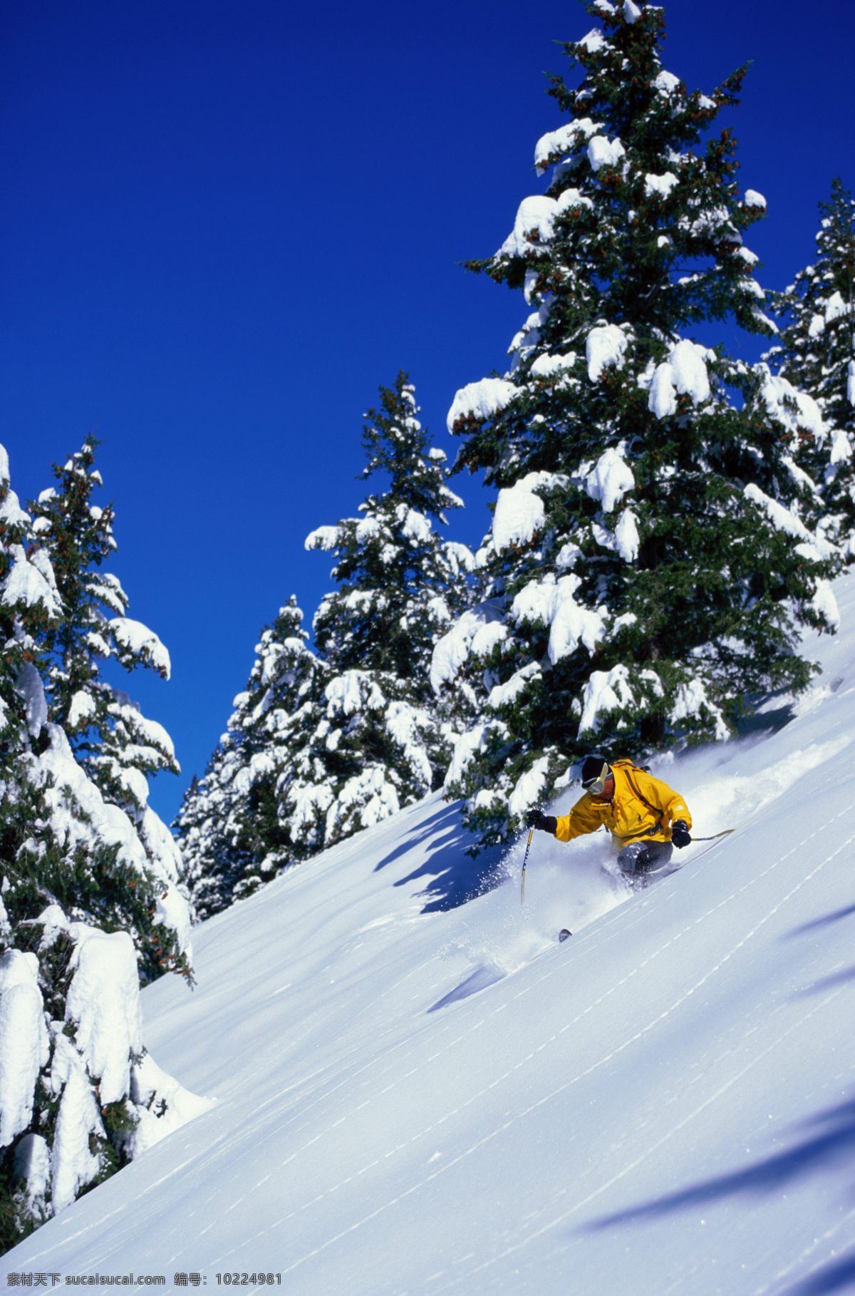 冬天 滑雪板 速度 滑雪的人 冬季 比赛 滑雪比赛 力量 速度感 雪 滑雪撬 羽绒服 运动感 运动素材 体育 冬季比赛 文化艺术 体育运动