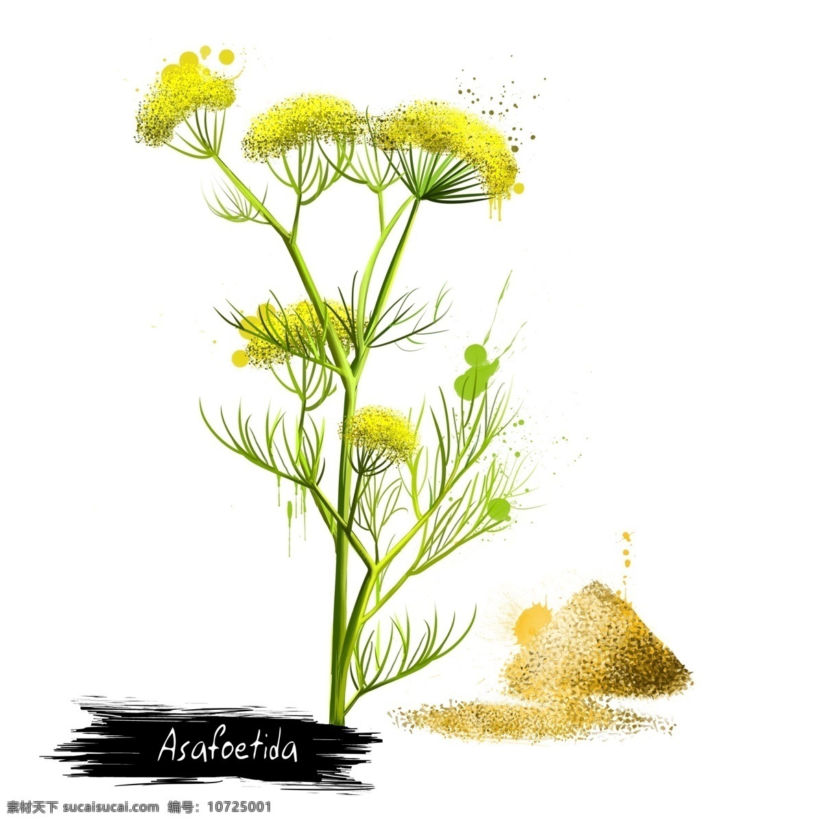 荒野 中 黄色 花 源文件 手绘 花朵 沙漠 美丽 装饰图案