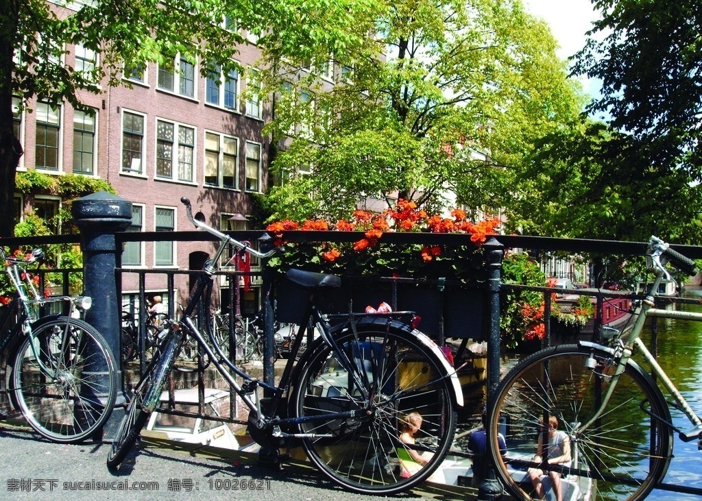 荷兰 旅游 乡村 自行车 运河 国外旅游 旅游摄影