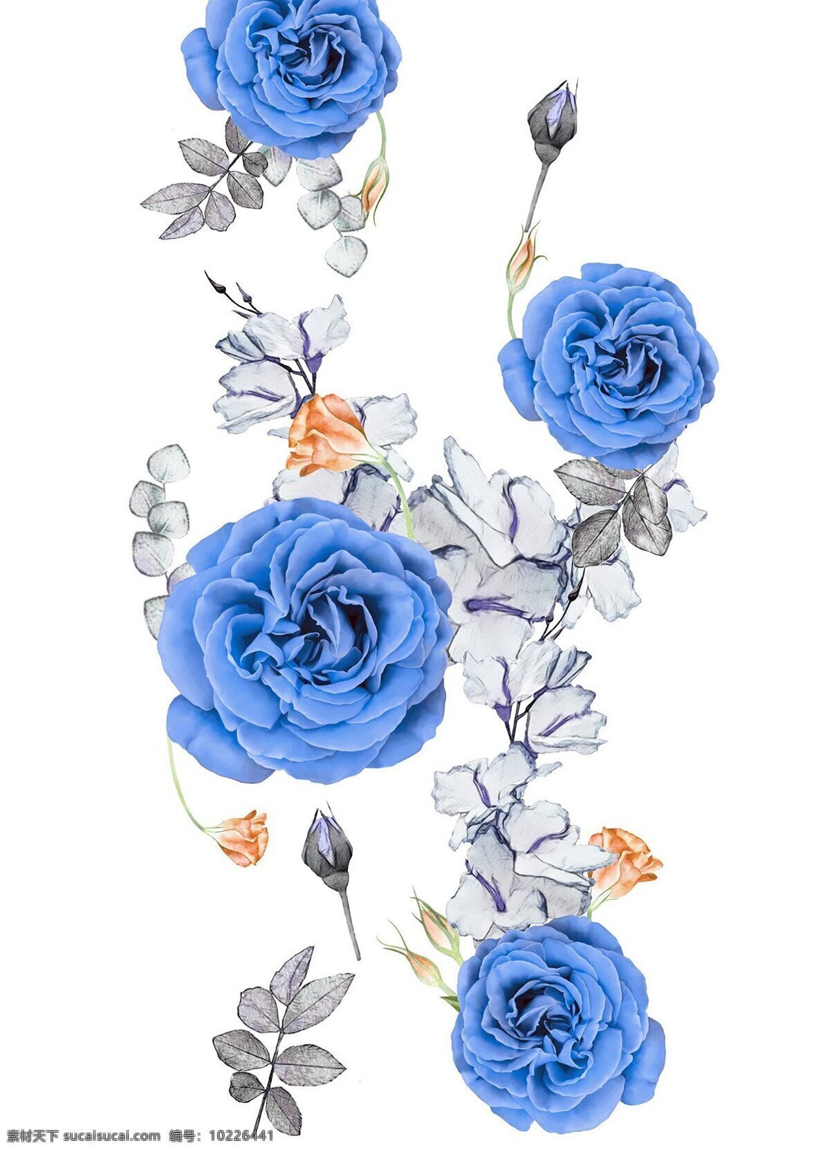 蓝玫瑰 花卉 玫瑰 自然 雅致 唯美 文化艺术