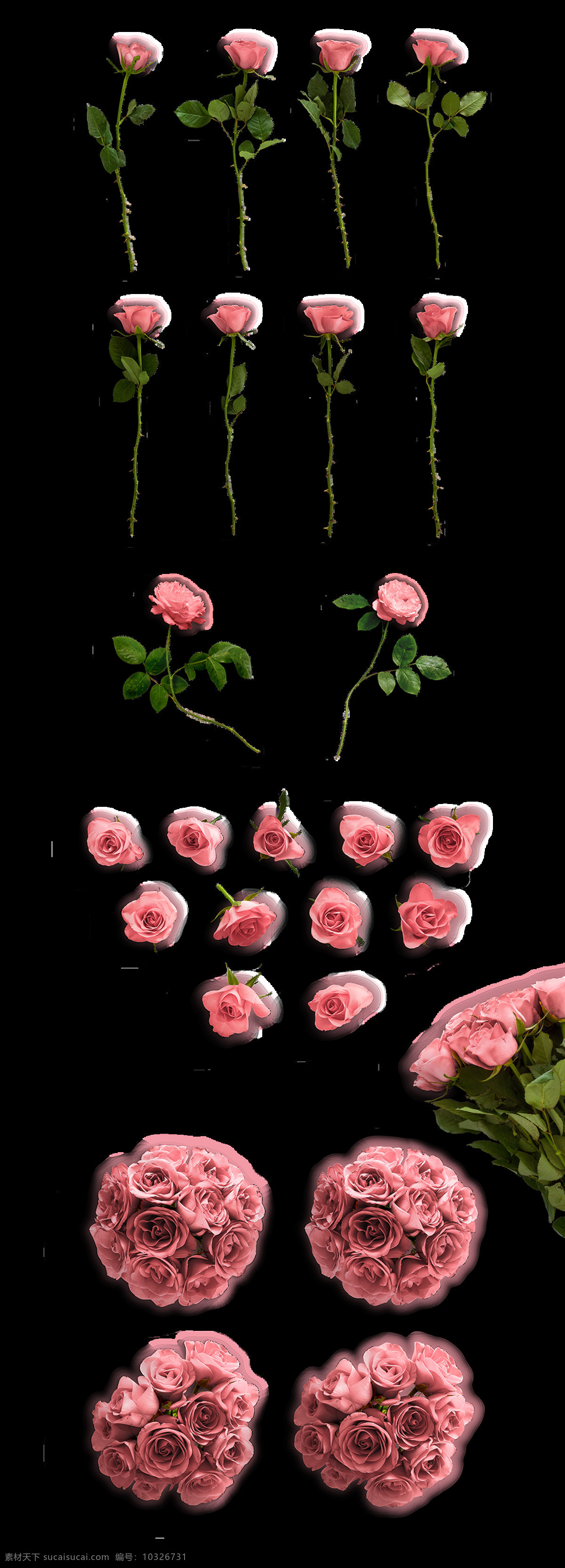 创意 玫瑰 产品 图 透明 装饰 免 扣 逼真 粉色 花束 绿色 生动 树叶 鲜花