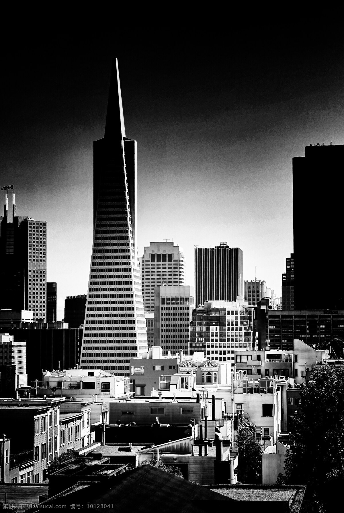 旧金山 泛美 金字塔 大厦 高清 泛美大厦 美国 金字塔大厦 摩天楼 高楼