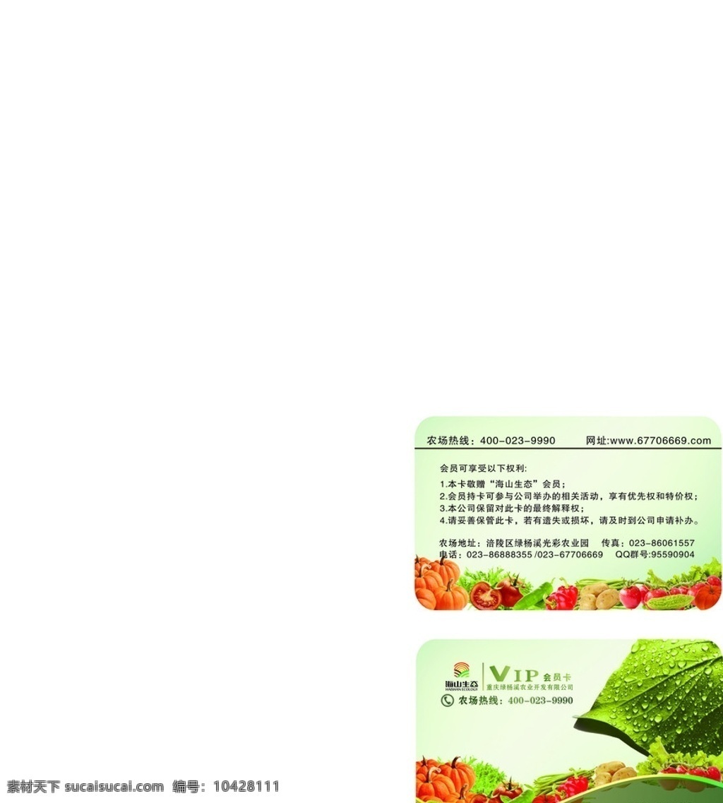 蔬菜 会员卡 vip卡 叶子 原生态蔬菜 有机蔬菜 番茄 露珠 水珠 透明 生菜 名片卡片 矢量
