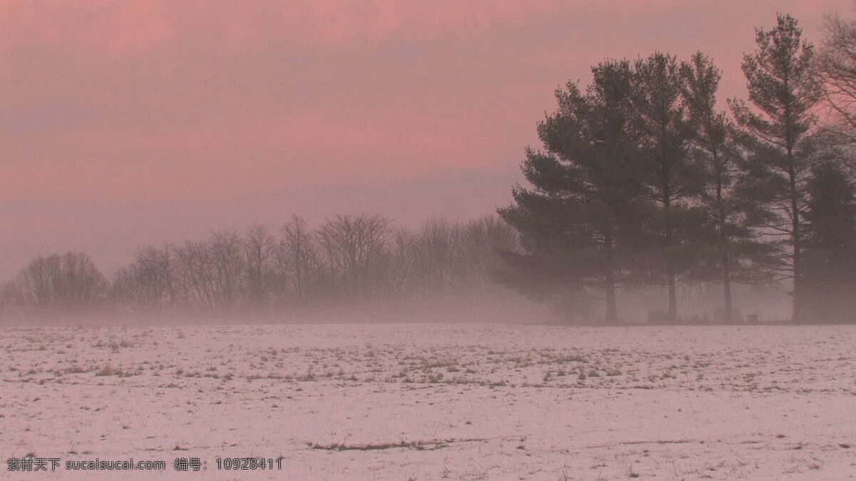 粉红色 天空 雪场 股票 录像 冬天 粉红 日落 视频免费下载 树 冬天的雪 后面 赤裸的 其他视频