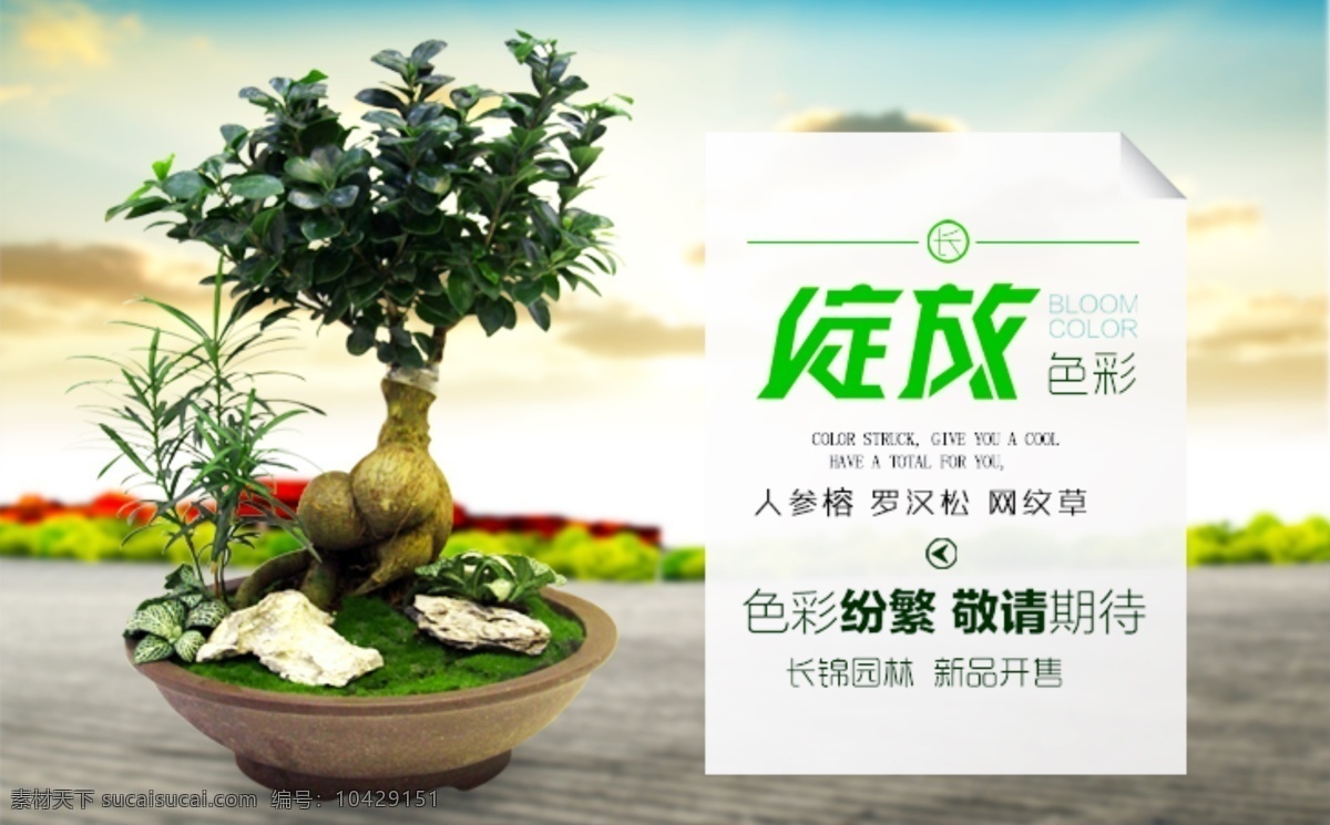 淘宝植物海报 淘宝海报 植物海报 手机端海报 微信海报 绽放色彩 白色